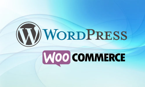 WordPress + Woocommerce – Installer et gérer un site d’entreprise
